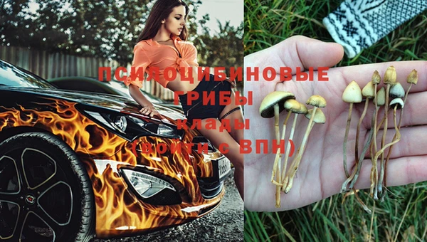 мяу мяу мука Верхнеуральск