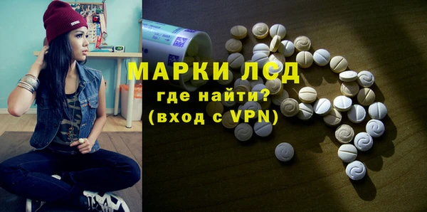 ГАЛЛЮЦИНОГЕННЫЕ ГРИБЫ Богданович