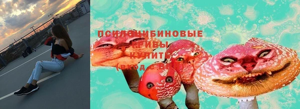 бошки Верея