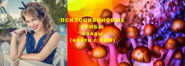мескалин Богородск